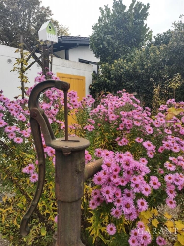 Vom Garten zur Garage