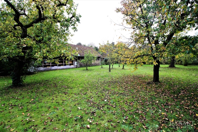 Großer Obstbaumgarten