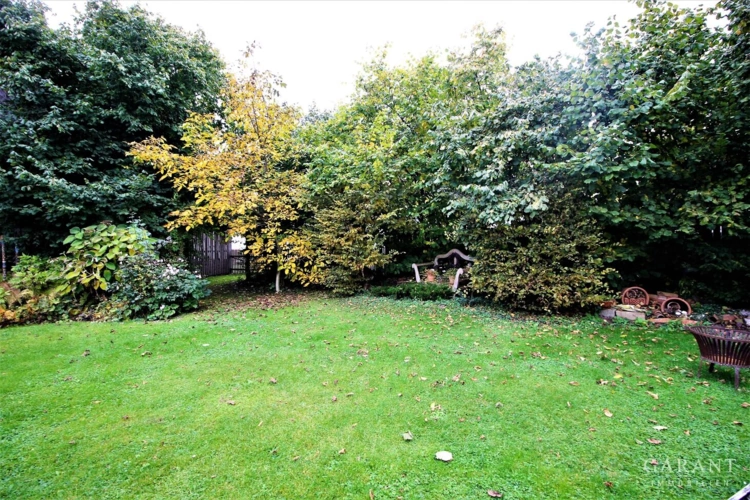 Schön eingewachsener Garten