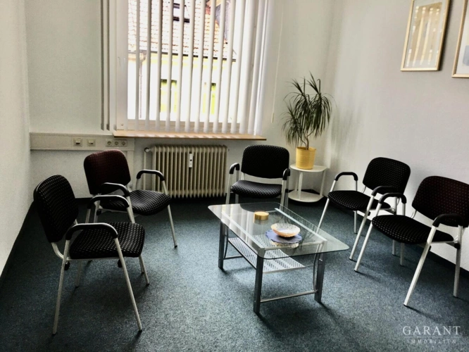 Wartezimmer Büro/Kanzlei OG