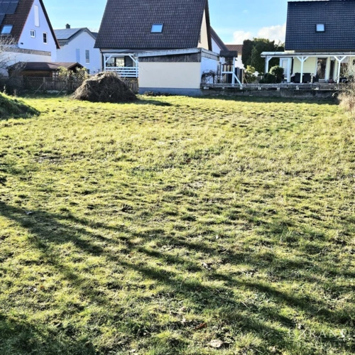 Rasenfläche ganz hinten