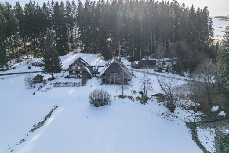 Schönwald