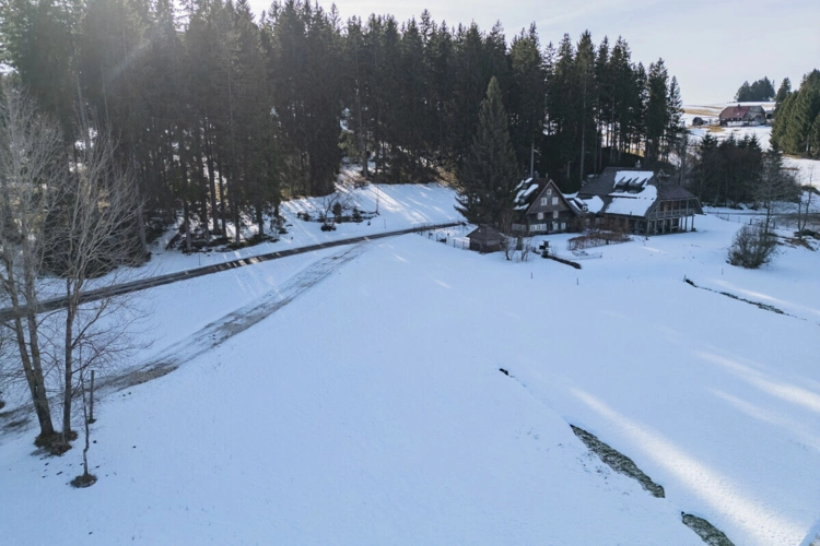 Schönwald