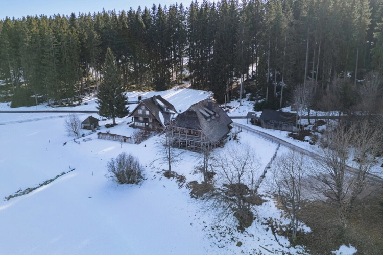 Schönwald