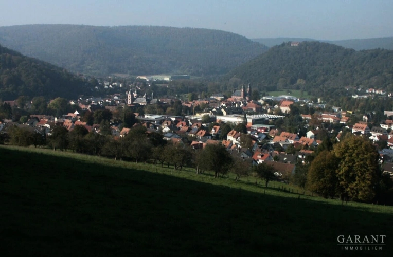 Blick auf Amorbach