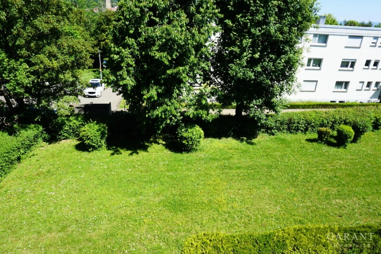 Gemeinschaftsgarten