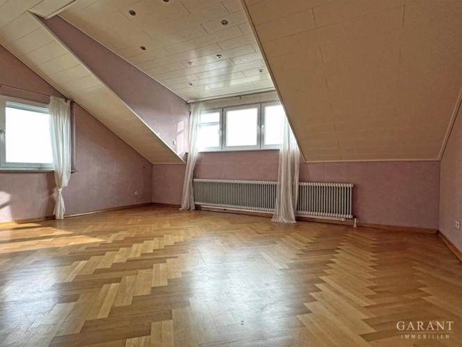 Zimmer DG
