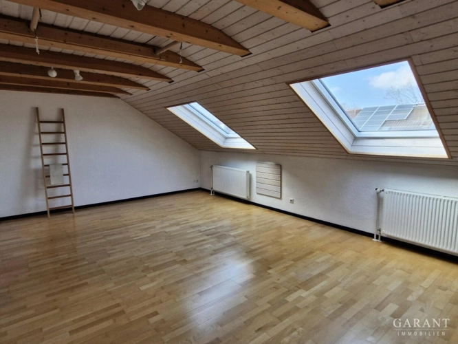 Zimmer DG