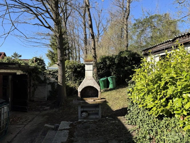 Garten hinten