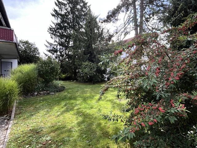 Bild22