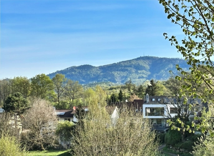 Weitblick