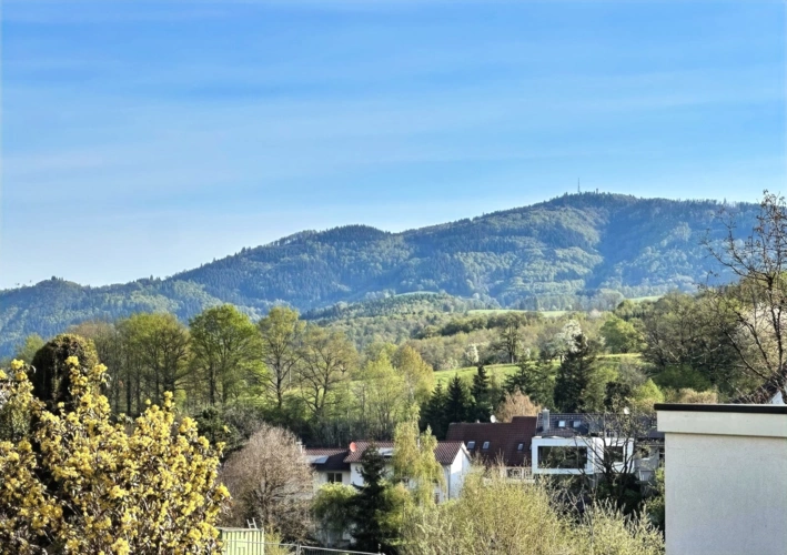 Ausblick