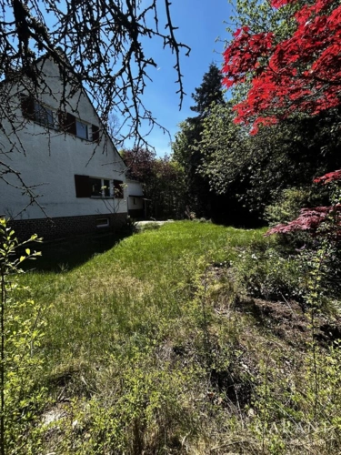 Sonniger Garten