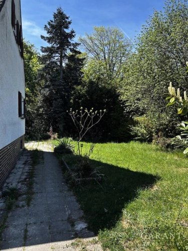 Blick ins Grüne