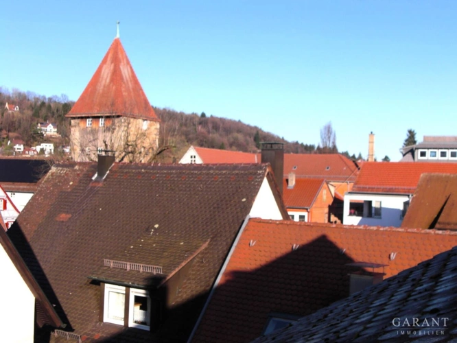 Blick über die Dächer