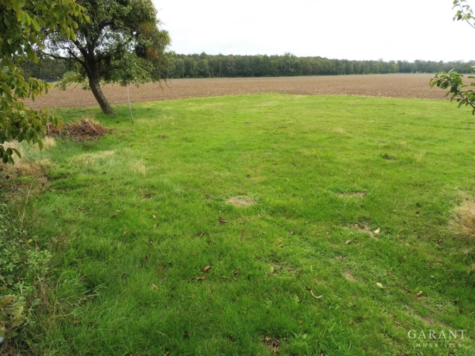 06-Freiflaeche