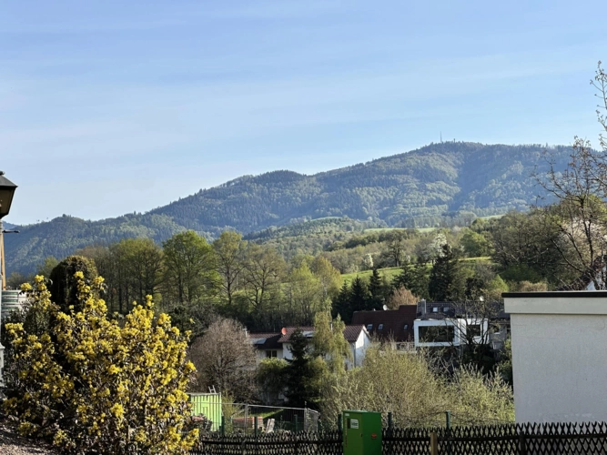 Weitblick