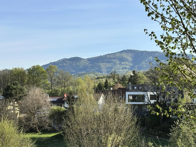 Ausblick