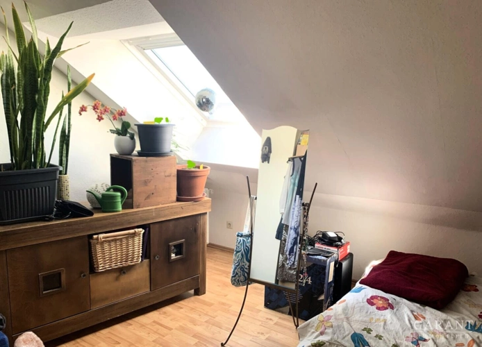 Zimmer DG