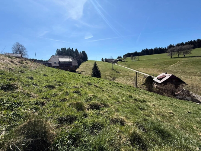 Baugrundstück