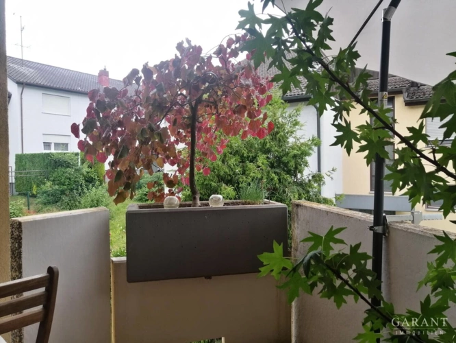 Balkon