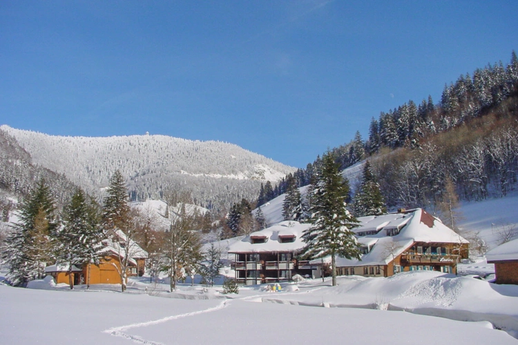 Todtnau (25)