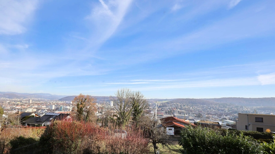 Ausblick