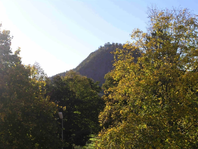 Bild11