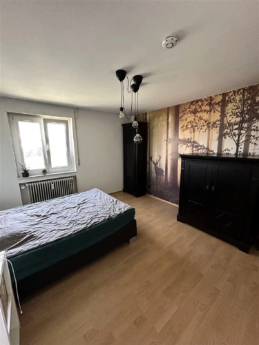 Bild5
