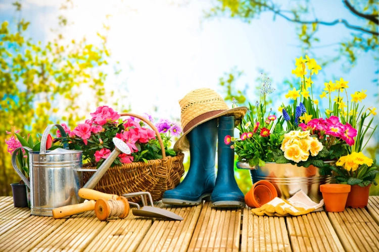 Garten2