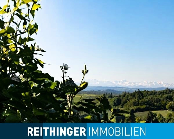 Bild1