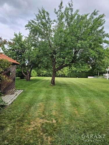 Gartenimpression 2