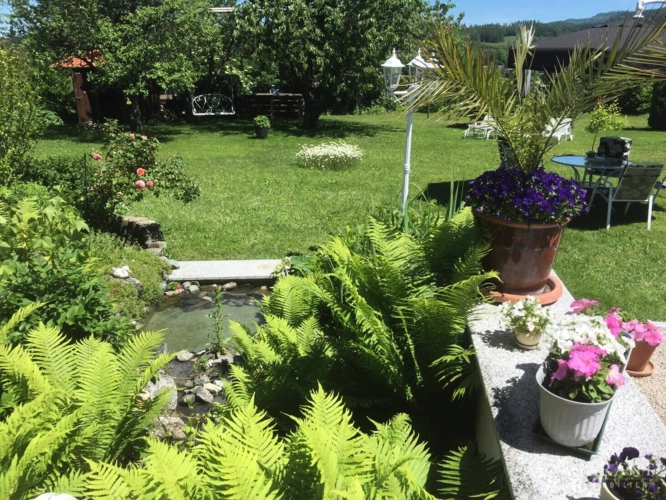 Gartenimpression 1