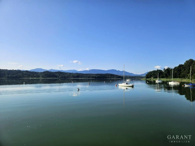 Simmsee