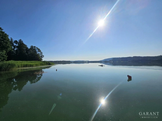 Simmsee