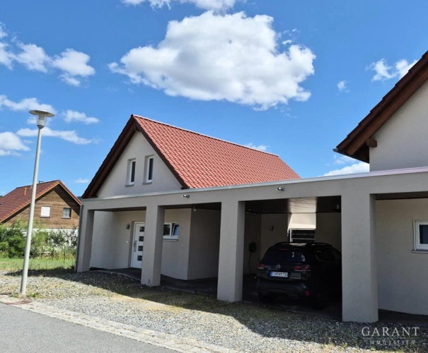 Eingang und Carport