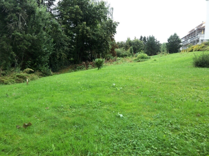 Waldstr. Grundstück BD (2)